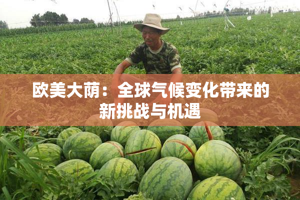 欧美大荫：全球气候变化带来的新挑战与机遇