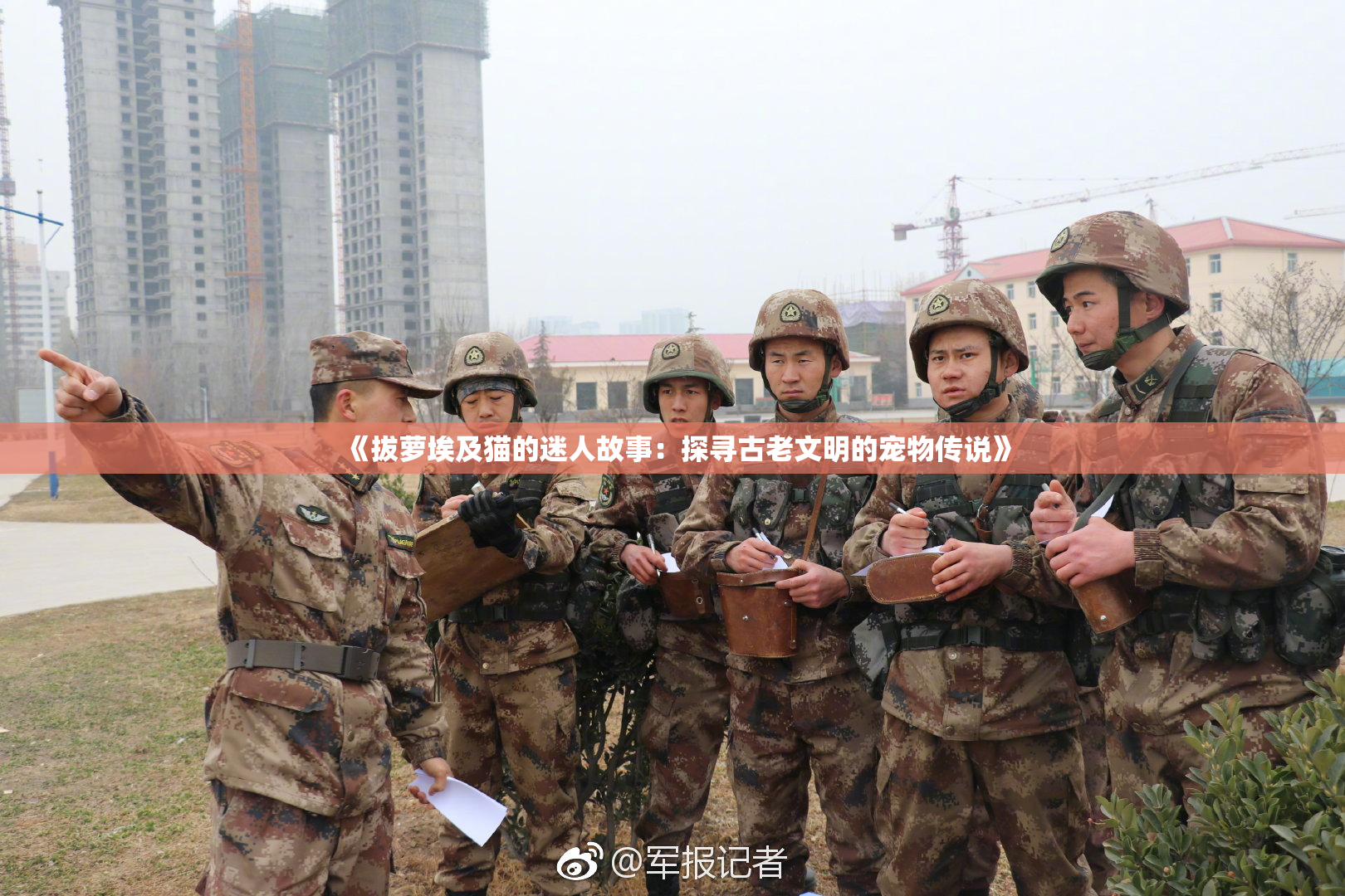 《拔萝埃及猫的迷人故事：探寻古老文明的宠物传说》