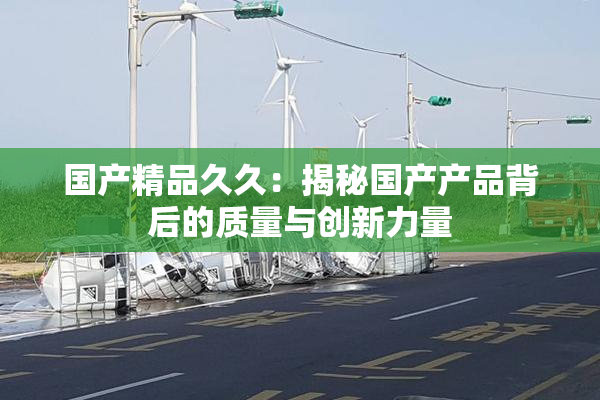 国产精品久久：揭秘国产产品背后的质量与创新力量