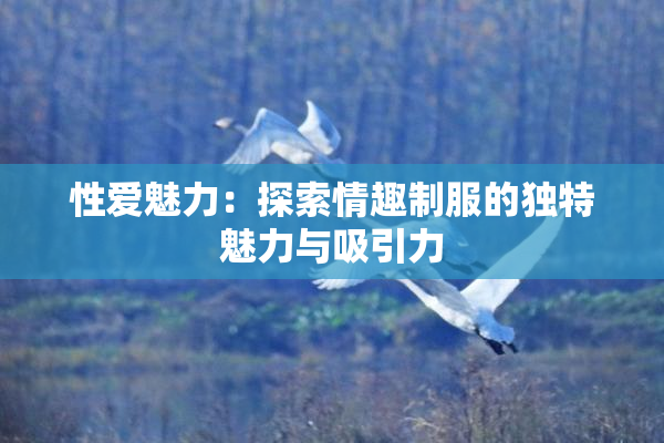 性爱魅力：探索情趣制服的独特魅力与吸引力