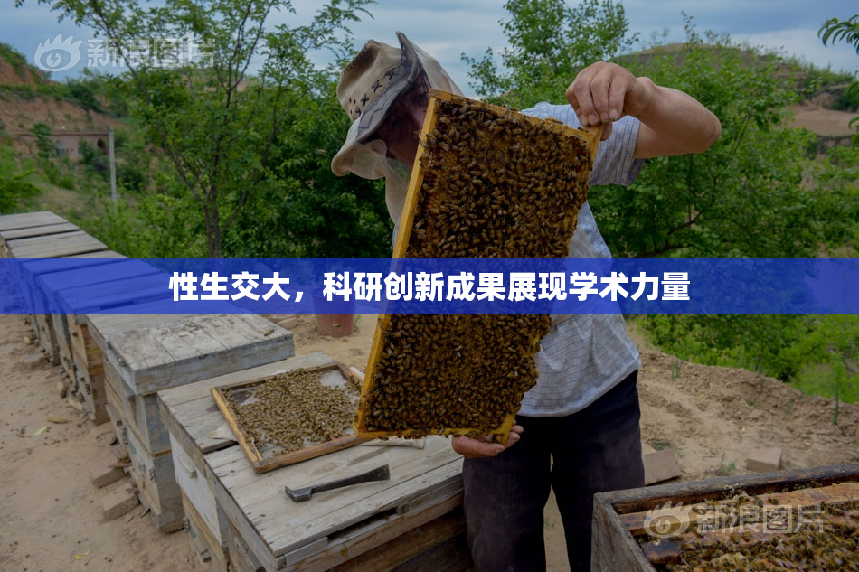 性生交大，科研创新成果展现学术力量