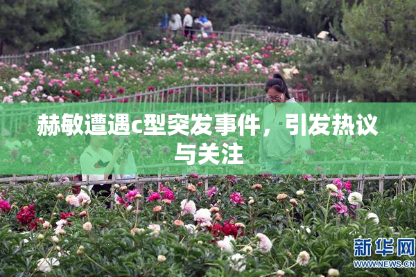赫敏遭遇c型突发事件，引发热议与关注