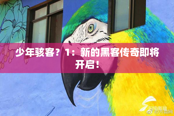 少年骇客？1：新的黑客传奇即将开启！