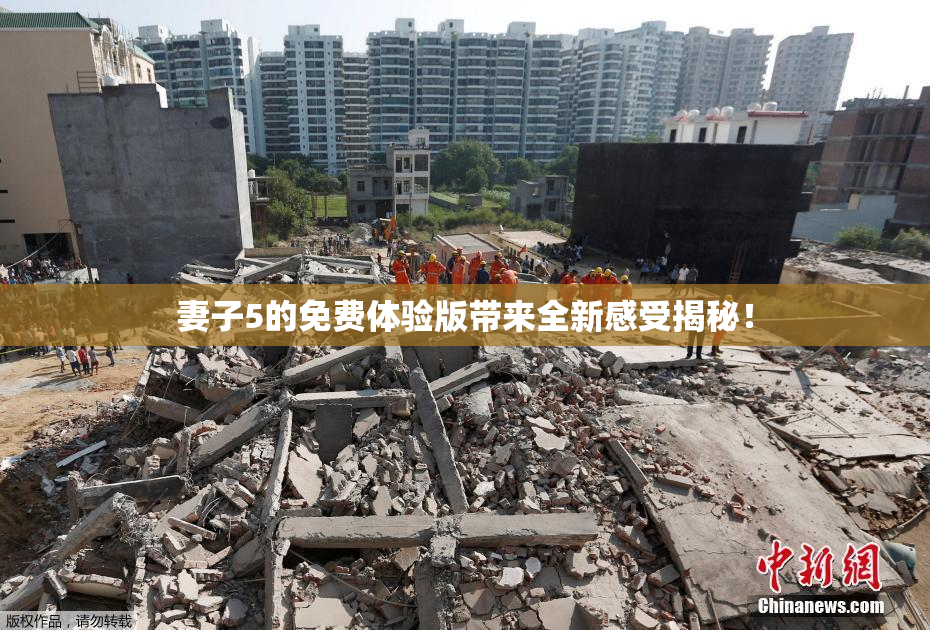 妻子5的免费体验版带来全新感受揭秘！