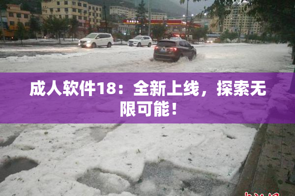 成人软件18：全新上线，探索无限可能！