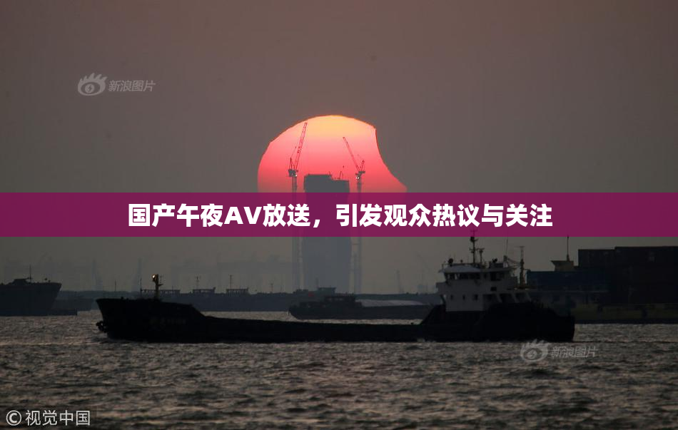 国产午夜AV放送，引发观众热议与关注