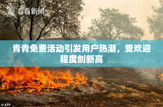 青青免费活动引发用户热潮，受欢迎程度创新高