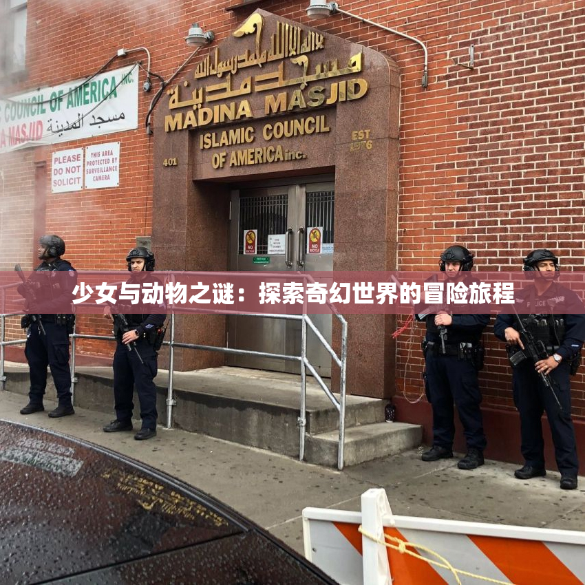 少女与动物之谜：探索奇幻世界的冒险旅程