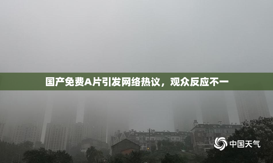 国产免费A片引发网络热议，观众反应不一