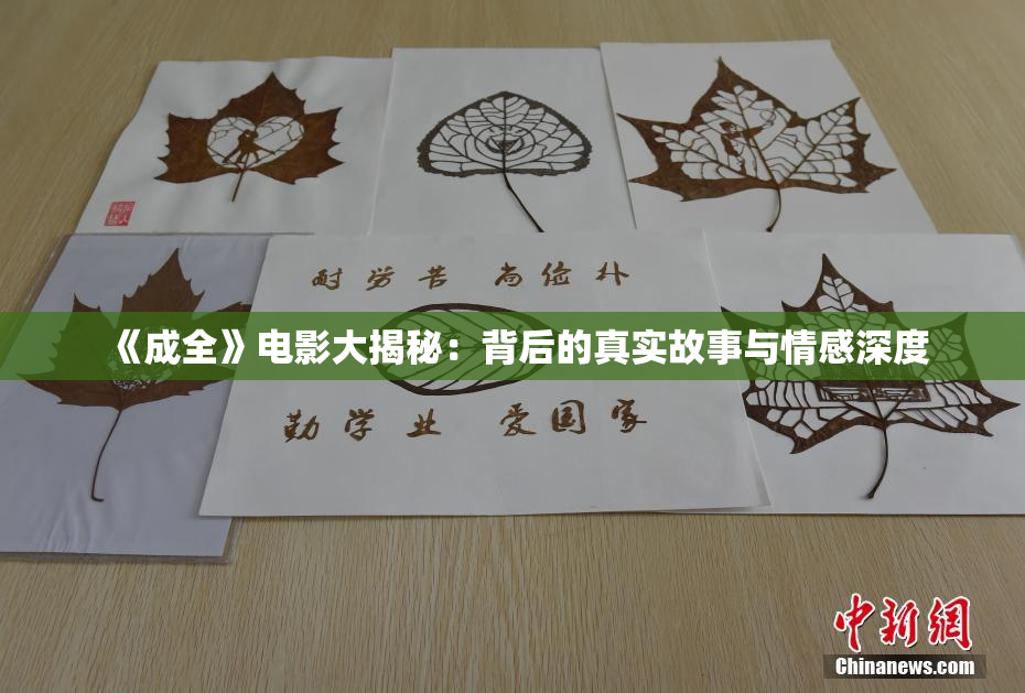 《成全》电影大揭秘：背后的真实故事与情感深度