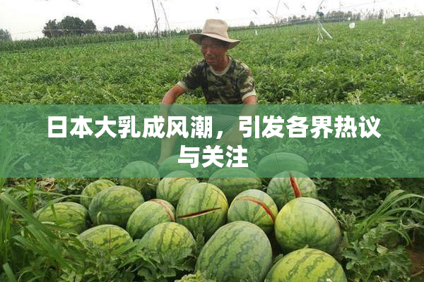 日本大乳成风潮，引发各界热议与关注
