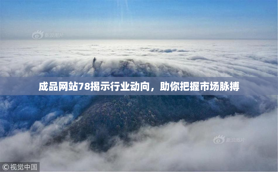成品网站78揭示行业动向，助你把握市场脉搏