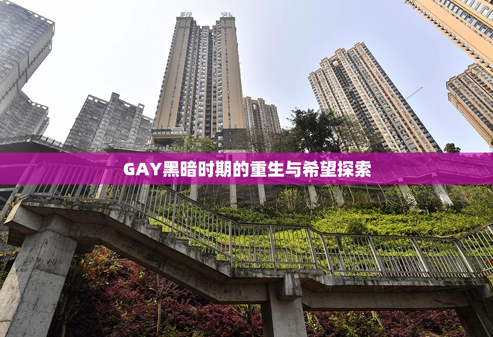 GAY黑暗时期的重生与希望探索