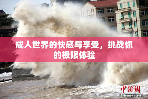 成人世界的快感与享受，挑战你的极限体验