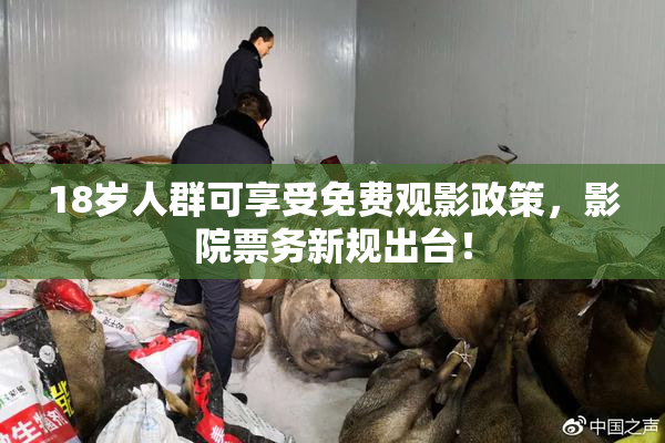 18岁人群可享受免费观影政策，影院票务新规出台！