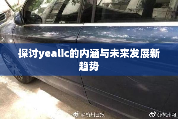 探讨yealic的内涵与未来发展新趋势