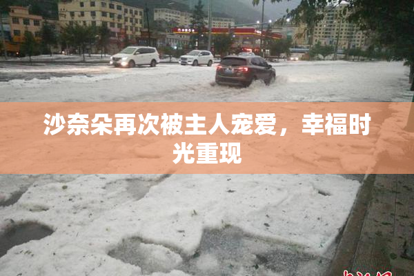 沙奈朵再次被主人宠爱，幸福时光重现