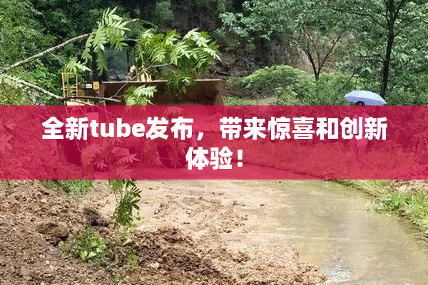 全新tube发布，带来惊喜和创新体验！
