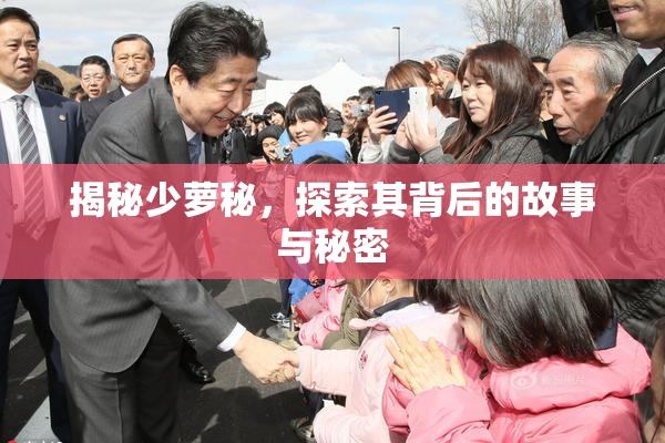 揭秘少萝秘，探索其背后的故事与秘密