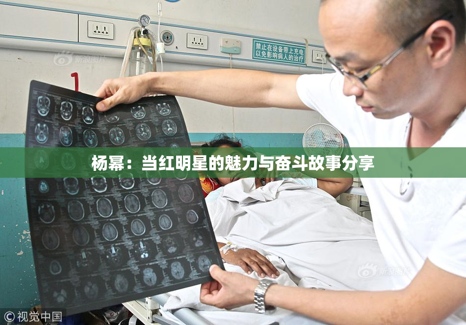 杨幂：当红明星的魅力与奋斗故事分享