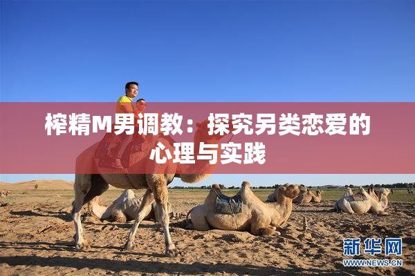 榨精M男调教：探究另类恋爱的心理与实践