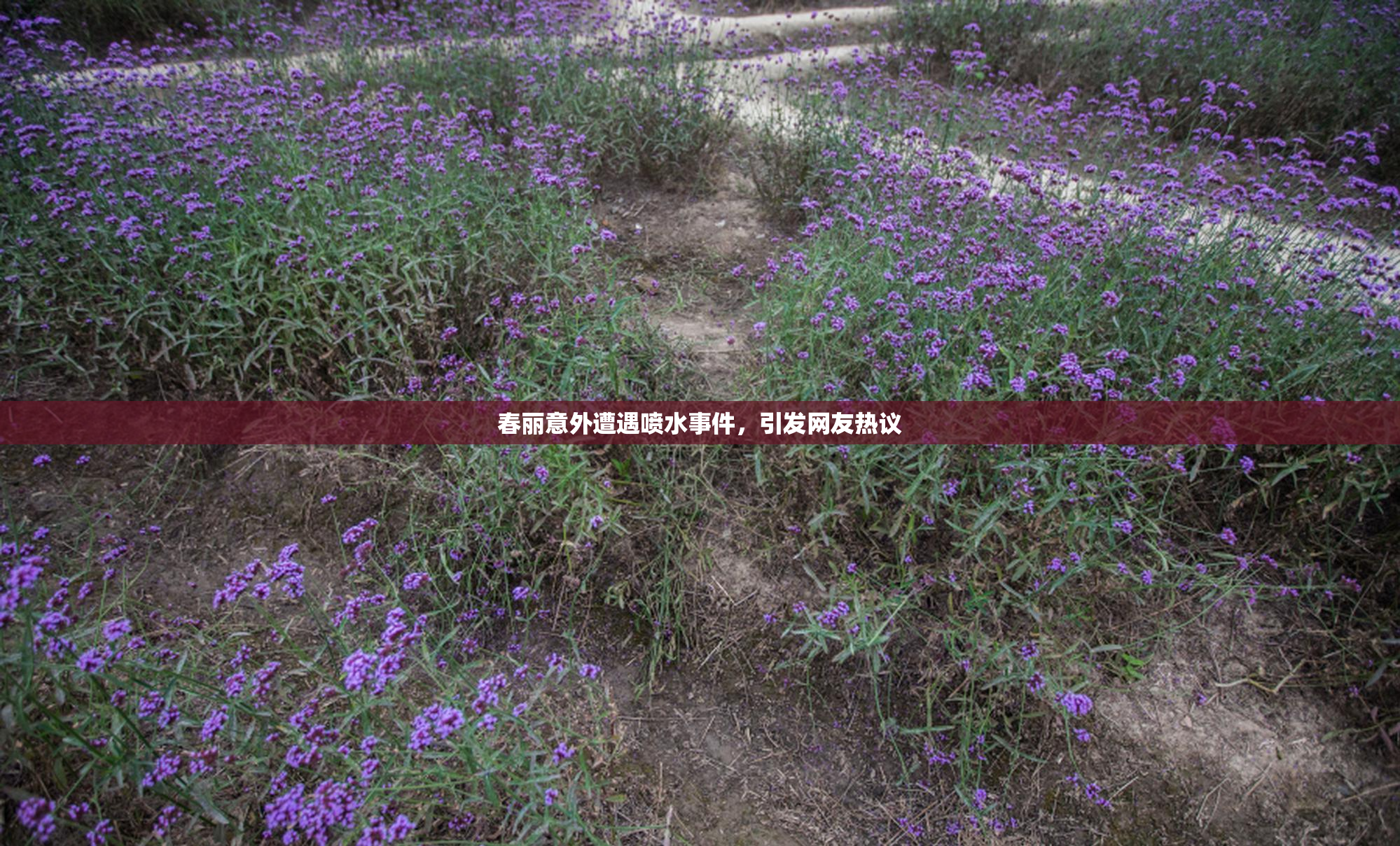 春丽意外遭遇喷水事件，引发网友热议