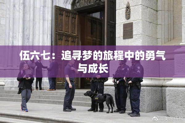 伍六七：追寻梦的旅程中的勇气与成长