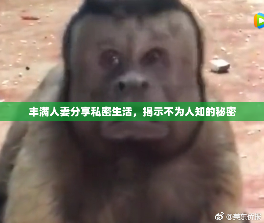 丰满人妻分享私密生活，揭示不为人知的秘密