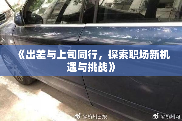《出差与上司同行，探索职场新机遇与挑战》