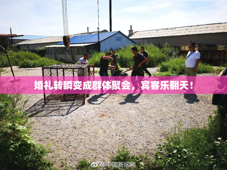 婚礼转瞬变成群体聚会，宾客乐翻天！