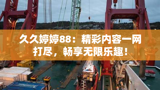 久久婷婷88：精彩内容一网打尽，畅享无限乐趣！