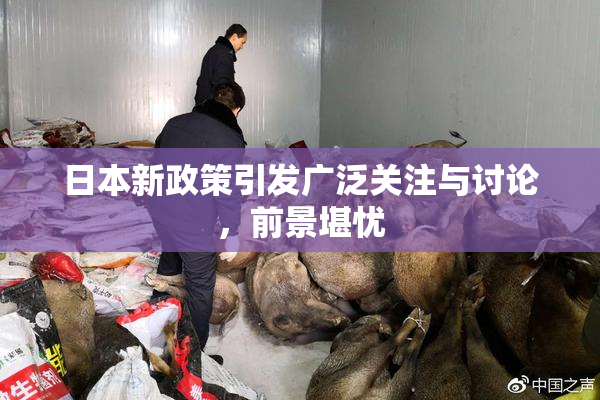 日本新政策引发广泛关注与讨论，前景堪忧