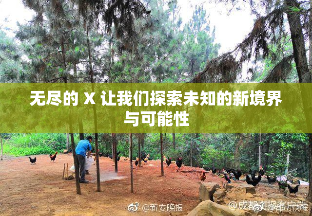 无尽的 X 让我们探索未知的新境界与可能性