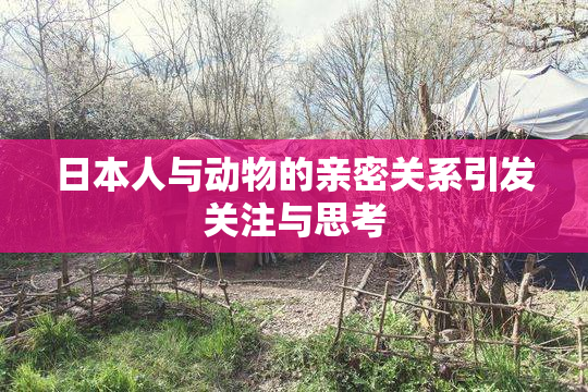 日本人与动物的亲密关系引发关注与思考
