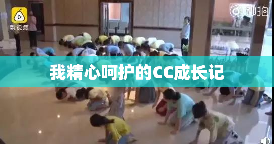 我精心呵护的CC成长记