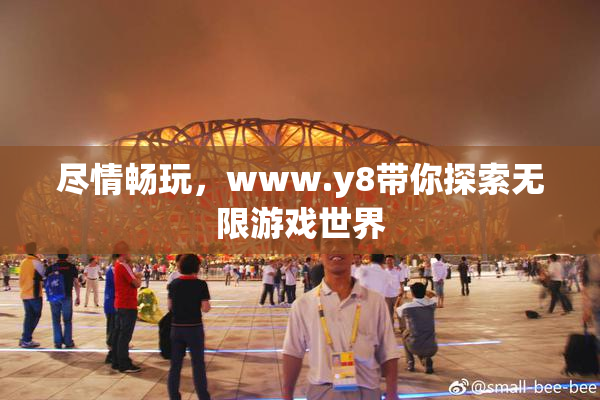 尽情畅玩，www.y8带你探索无限游戏世界