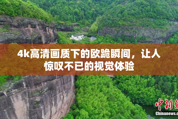 4k高清画质下的欧跪瞬间，让人惊叹不已的视觉体验