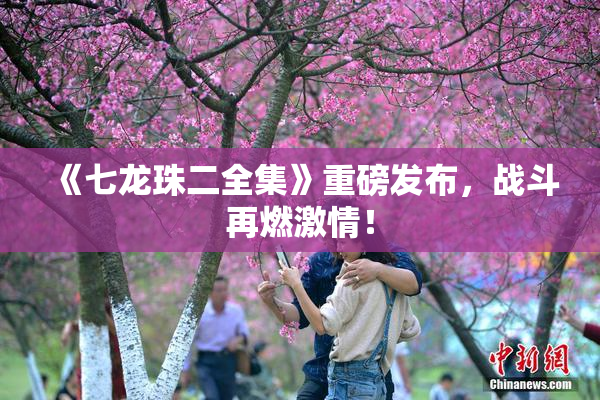 《七龙珠二全集》重磅发布，战斗再燃激情！