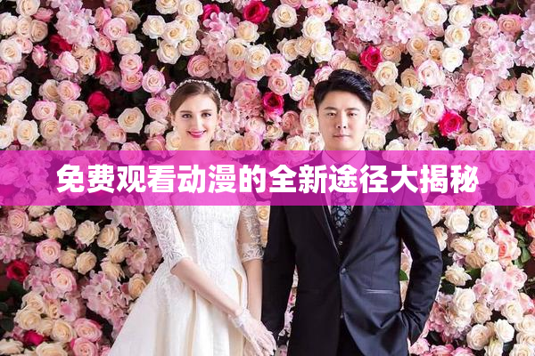 免费观看动漫的全新途径大揭秘