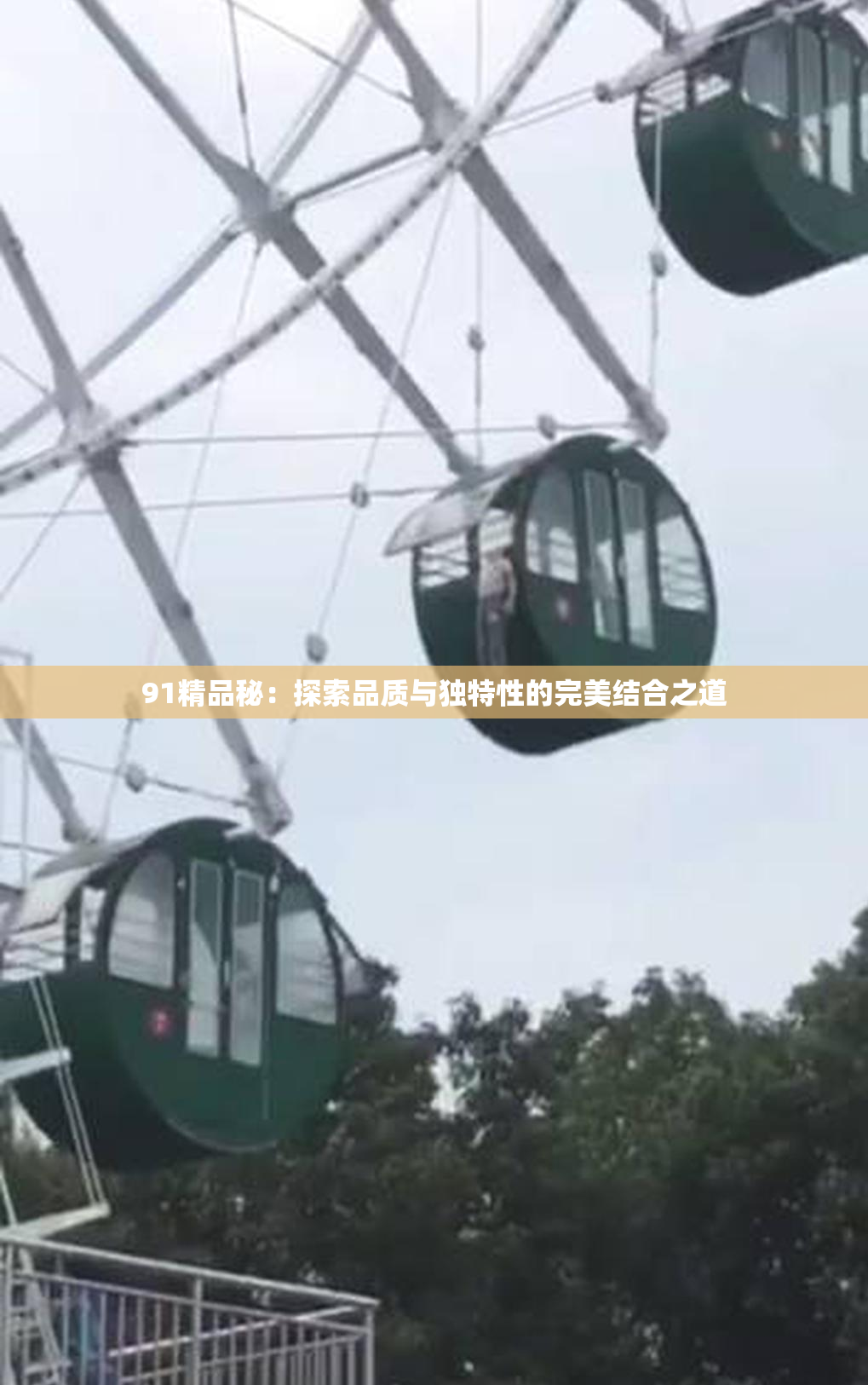 91精品秘：探索品质与独特性的完美结合之道
