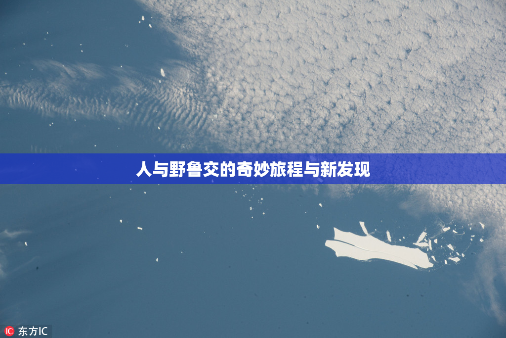 人与野鲁交的奇妙旅程与新发现