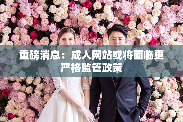重磅消息：成人网站或将面临更严格监管政策