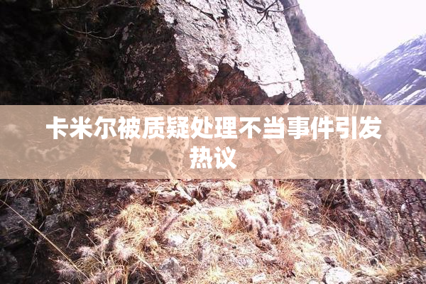 卡米尔被质疑处理不当事件引发热议