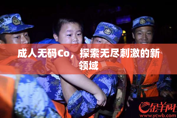 成人无码Co，探索无尽刺激的新领域