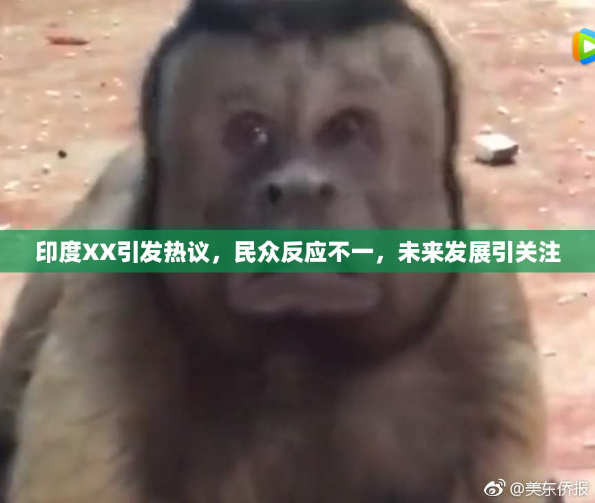 印度XX引发热议，民众反应不一，未来发展引关注