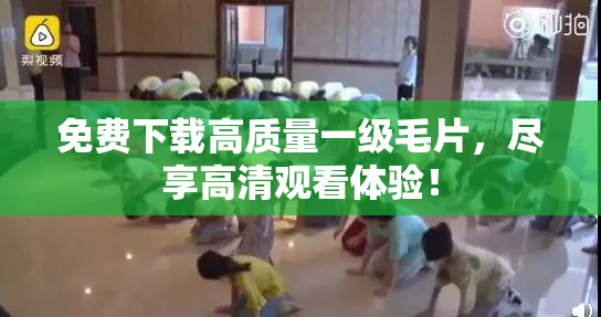 免费下载高质量一级毛片，尽享高清观看体验！