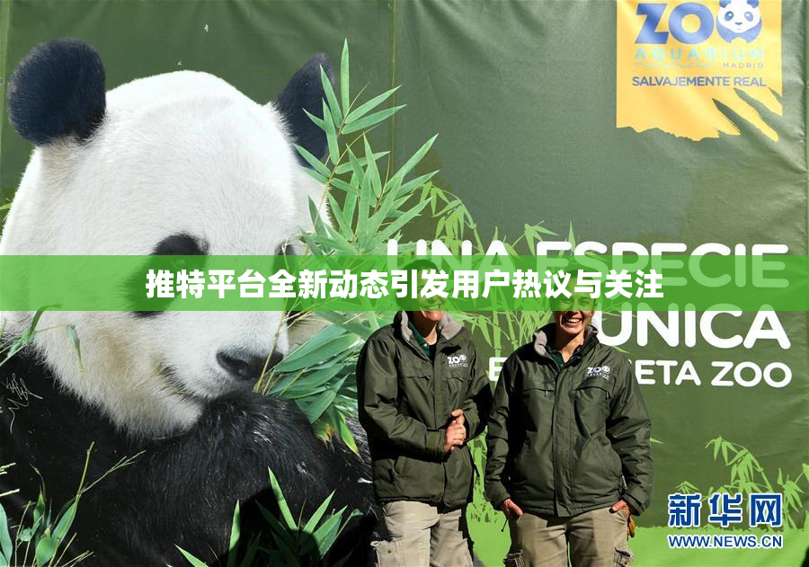 推特平台全新动态引发用户热议与关注