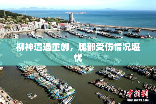 柳神遭遇重创，腿部受伤情况堪忧