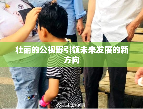 壮丽的公视野引领未来发展的新方向