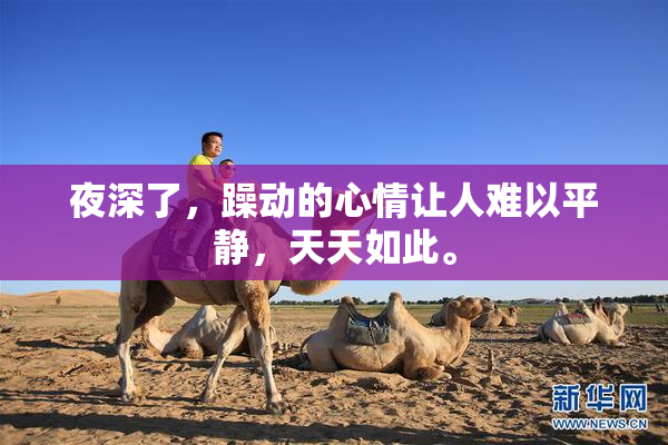 夜深了，躁动的心情让人难以平静，天天如此。